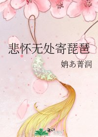 悲怀无处寄琵琶