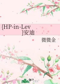 {HP-in-Lev}安迪
