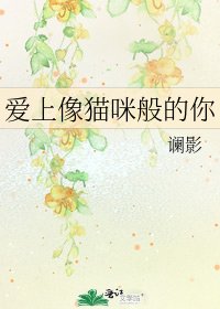 爱上像猫咪般的你