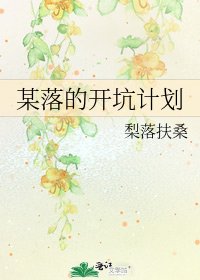 某落的开坑计划