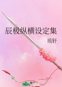 辰极纵横设定集