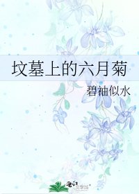 坟墓上的六月菊