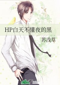 HP白天不懂夜的黑