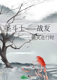 圣斗士——战友