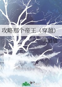 攻略那个帝王(穿越)
