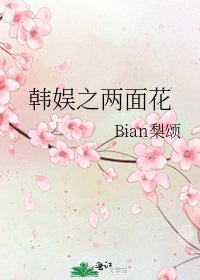 韩娱之两面花
