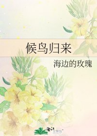 候鸟归来