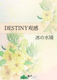 DESTINY观感