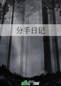 分手日记