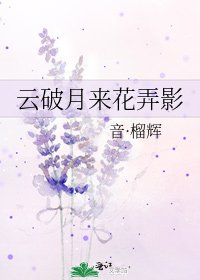 云破月来花弄影