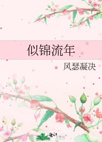 似锦流年