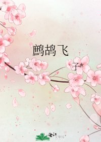 鹧鸪飞