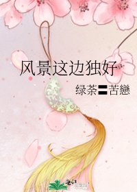 风景这边独好