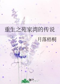 重生之苑家湾的传说