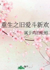 重生之旧爱斗新欢