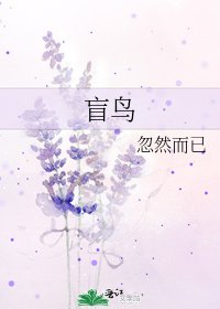 盲鸟
