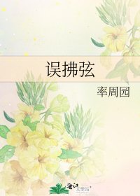 误拂弦