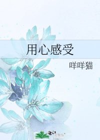 用心感受