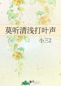 莫听清浅打叶声