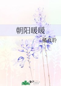 朝阳暖暖