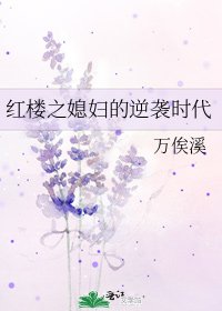 红楼之媳妇的逆袭时代