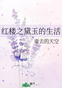 红楼之黛玉的生活