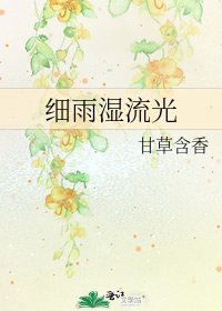 细雨湿流光