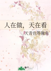 人在做,天在看