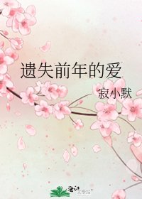 遗失前年的爱