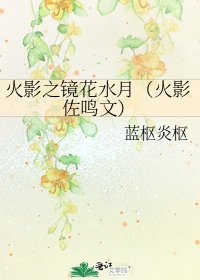 火影之镜花水月(火影佐鸣文)