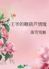 花心王爺的糖葫蘆情緣