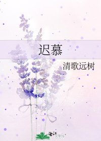 迟慕
