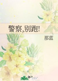 警察,别跑!