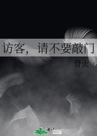 访客,请不要敲门