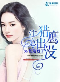 注意,猎鹰出没
