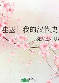 哇塞!我的汉代史