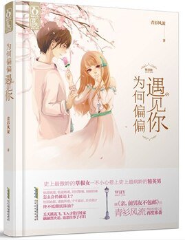 为何偏偏遇见你