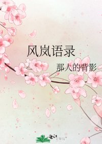 风岚语录