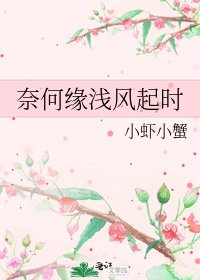 奈何缘浅风起时