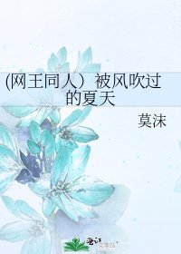 (网王同人)被风吹过的夏天