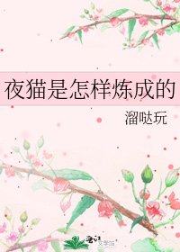 夜猫是怎样炼成的