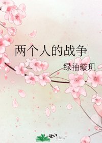 两个人的战争