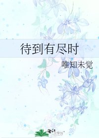 待到有尽时
