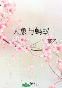 大象与蚂蚁