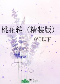 桃花转(精装版)