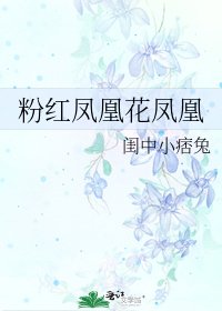 粉红凤凰花凤凰