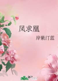 凤求凰