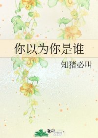 你以为你是谁