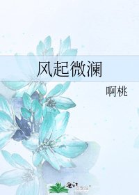 风起微澜