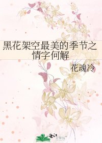黑花架空最美的季节之情字何解